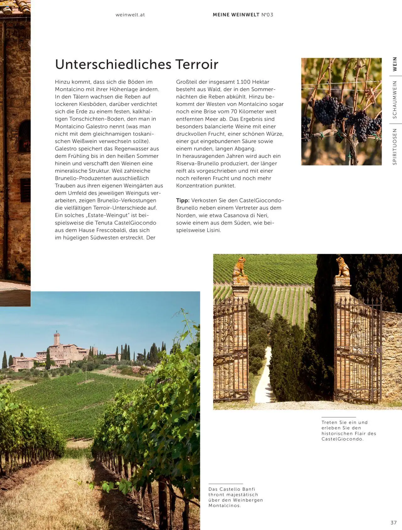 Interspar Weinwelt Magazin Ausgabe Herbst gültig ab 10.09.2025 | Seite: 37 | Produkte: Häränliha, Wein