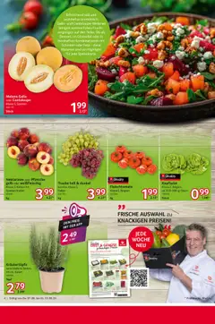 Selgros Prospekt 	 - gültig ab dem 07.08.2025 | Seite: 4