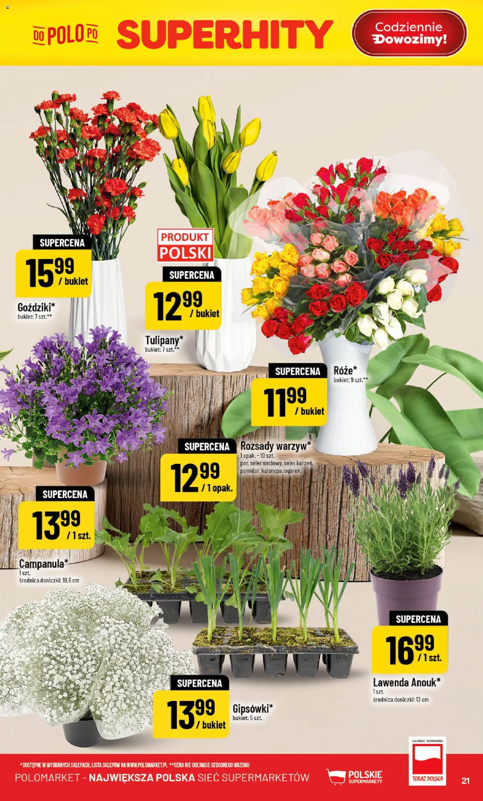 POLOmarket gazetka od 29.04.2026 | Strona: 21 | Produkty: Doniczki