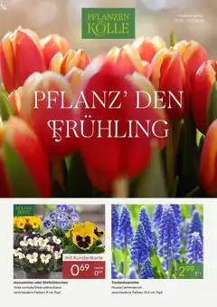 Pflanzen-Kölle - Pflanzen-Kölle: Pflanz' den Frühling ab 22.02.2026 gültig
