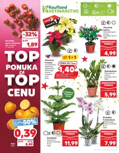 Kaufland leták platný od 13.11.2025 | Strana: 7