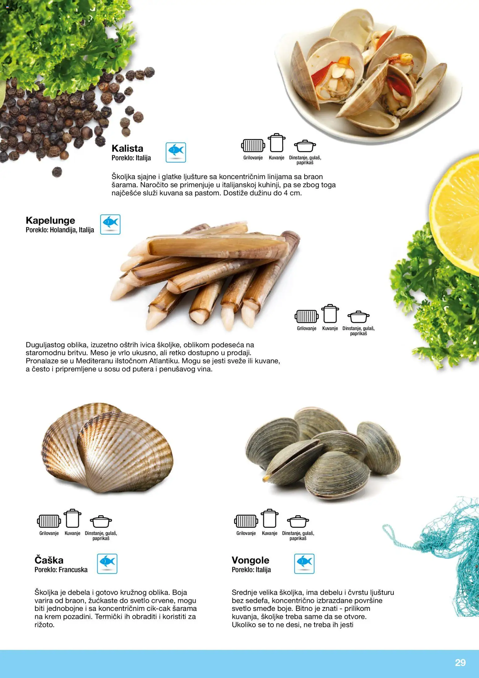 Metro katalog - važi od 10.12.2025 | Strana: 29