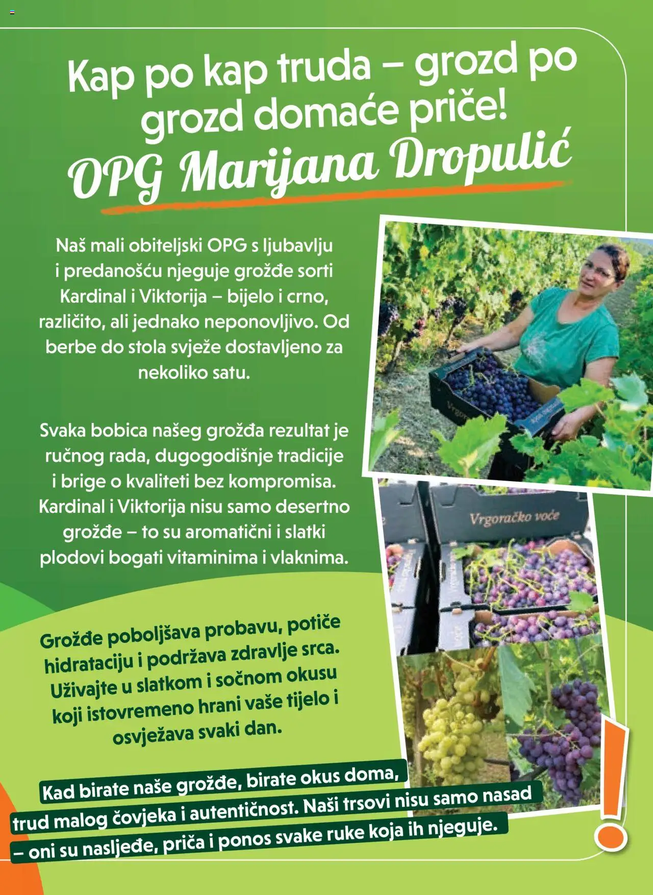 Studenac katalog | vrijedi od 13.08.2025 | Stranica: 5 | Proizvodi: Voće, Grožđe