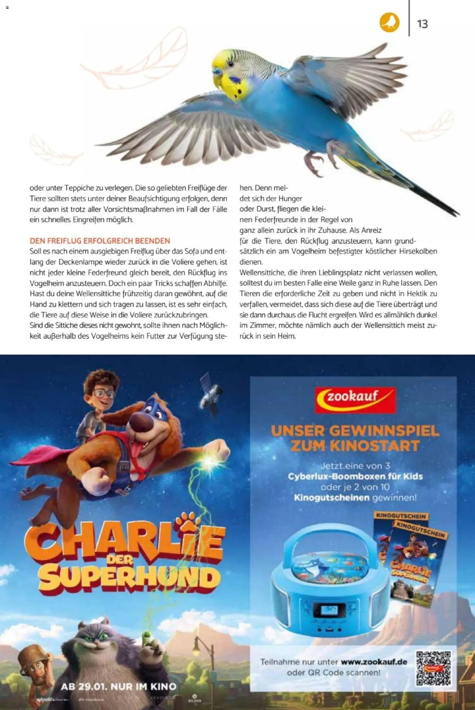 zookauf  Heimtier Journal – gültig ab 01.02.2026 | Seite: 13 | Produkte: Sofa