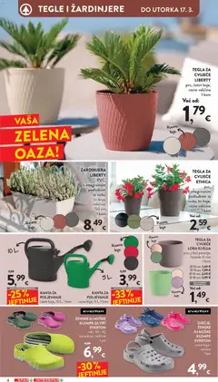 Katalog Proljeće Spar - Pregled kataloga iz trgovine Spar, vrijedi od 17.02.2026 | Stranica: 4 | Proizvodi: Cvijeće
