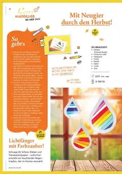 Pagro-Diskont Ideenwerk ab 17.09.2025 gültig | Seite: 18 | Produkte: Cutter