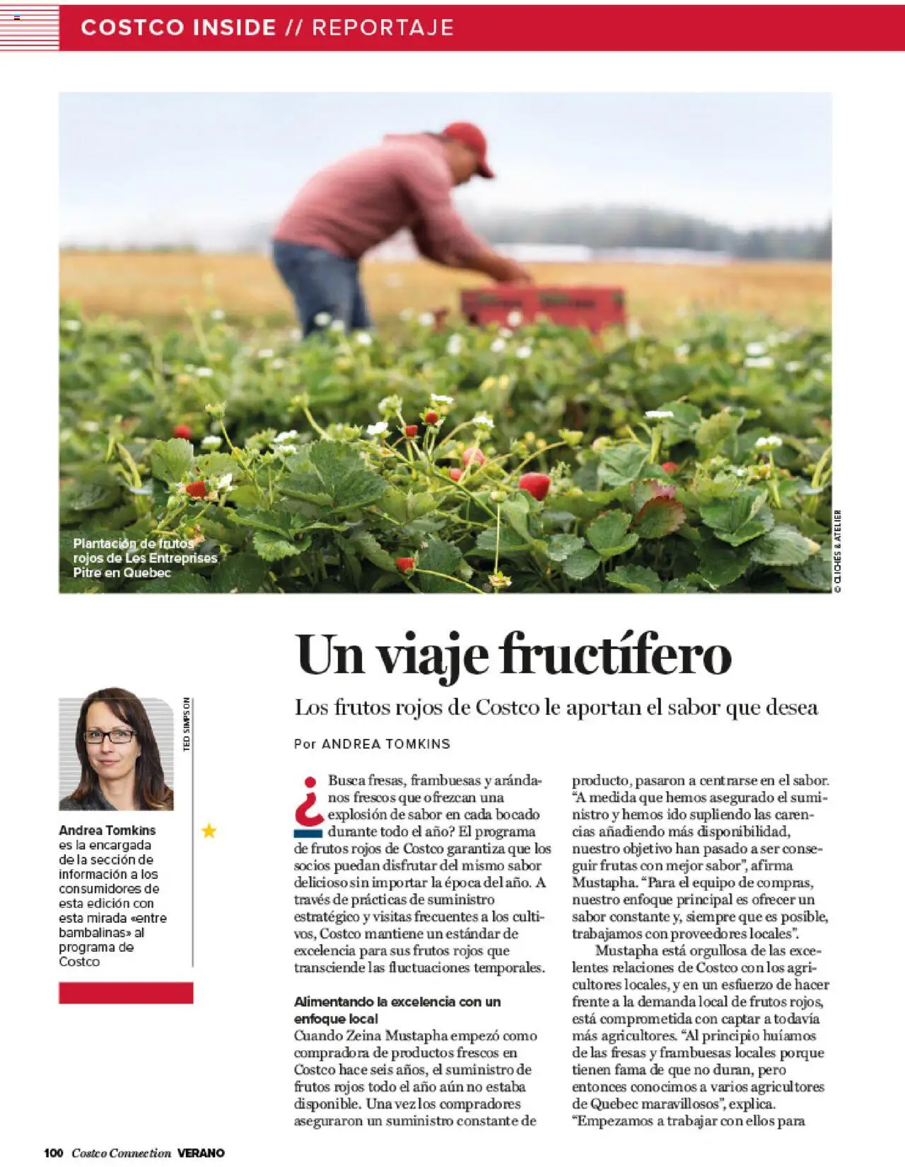 Costco catálogo │ válido desde el 03.07.2025 | Página: 100 | Productos: Fresas