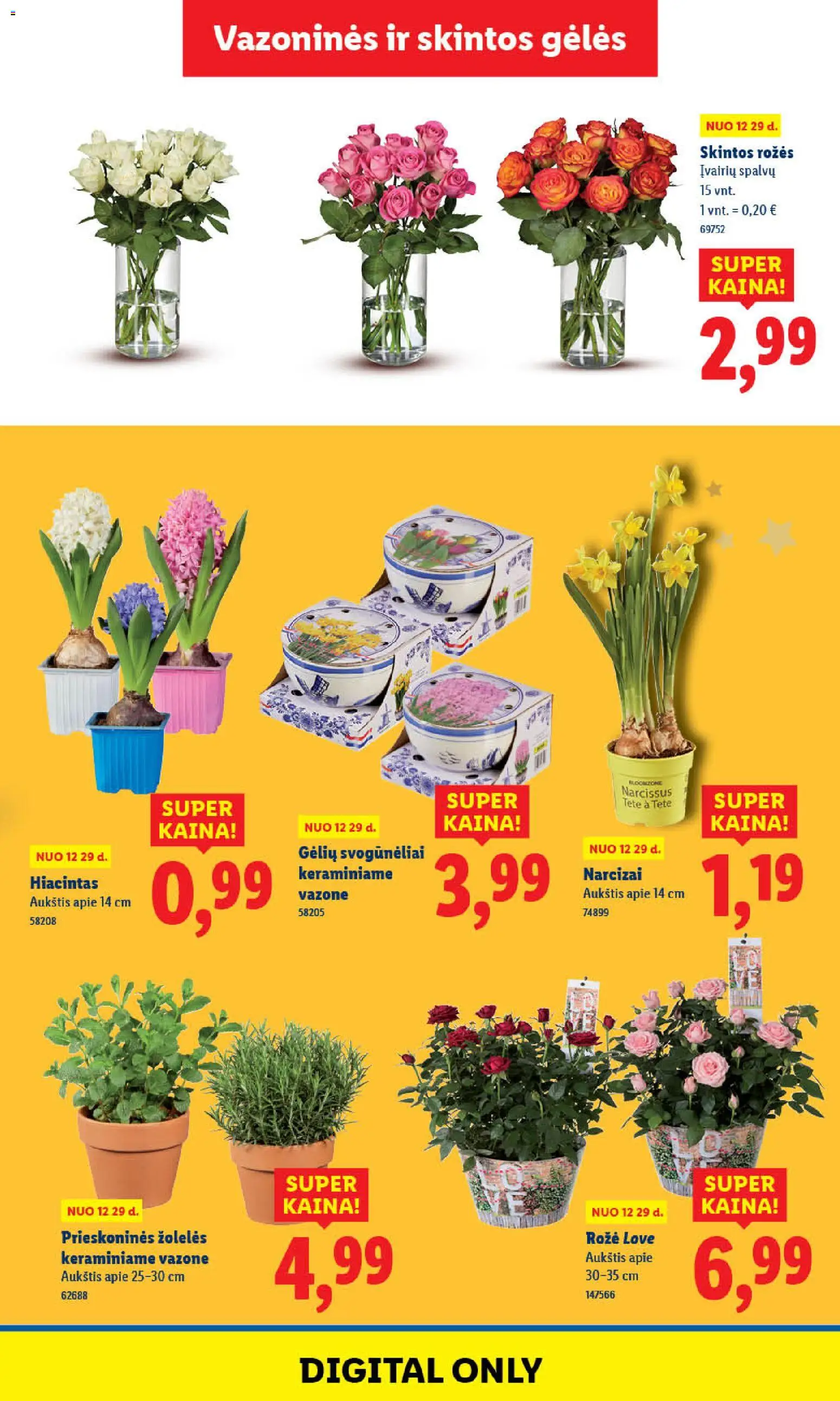 LIDL akcijos nuo 29.12.2025 | Puslapis: 33