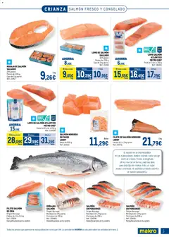 Vista previa Makro Especial Pescados Levante válido desde el 06.04.2026 | Página: 5 | Productos: Tacos, Bolsa, Παιχνίδια, Filete