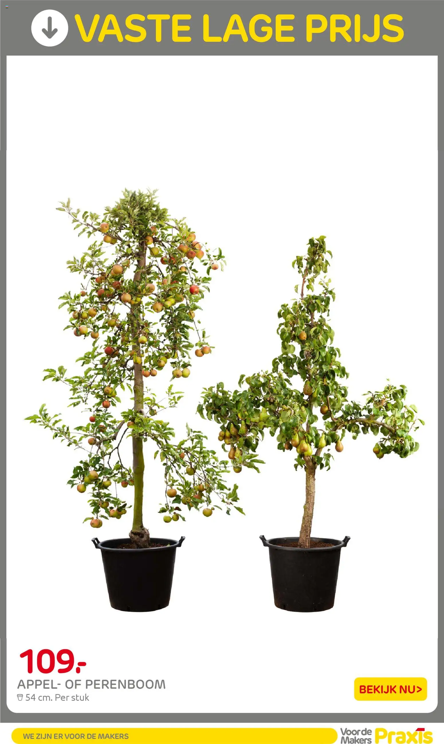 {H1} | Pagina: 40 | Producten: Appel