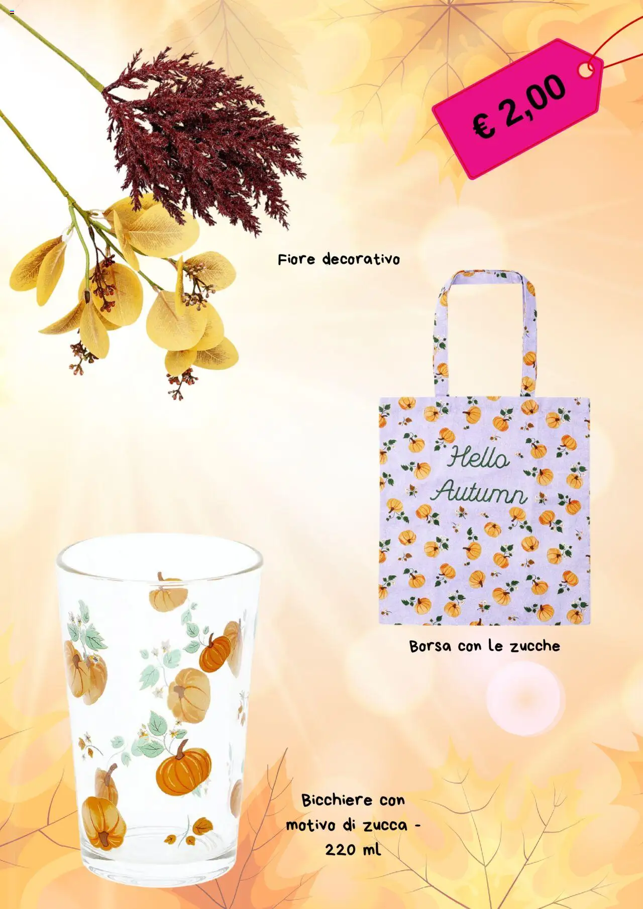 Volantino Flying Tiger del 12.09.2025 | Pagina: 2 | Prodotti: Zucca, Borsa