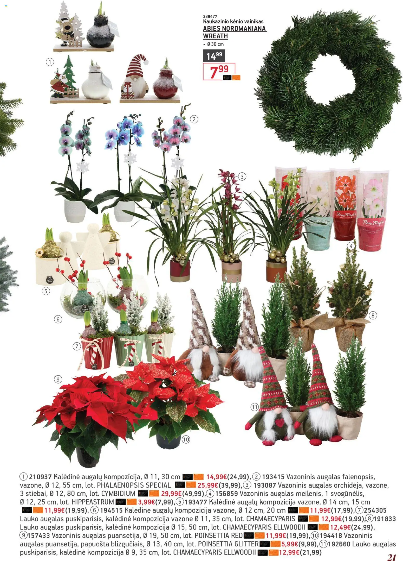 ERMITAŽAS akcijos nuo 03.11.2025 | Puslapis: 21