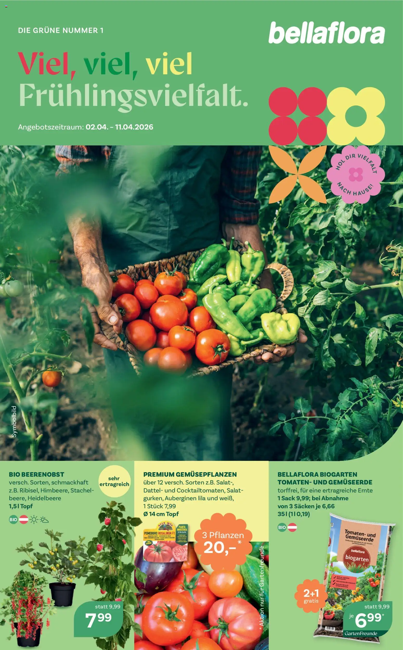 bellaflora Flugblatt gültig ab 02.04.2026 | Seite: 1 | Produkte: Salat, Dattel, Tomaten