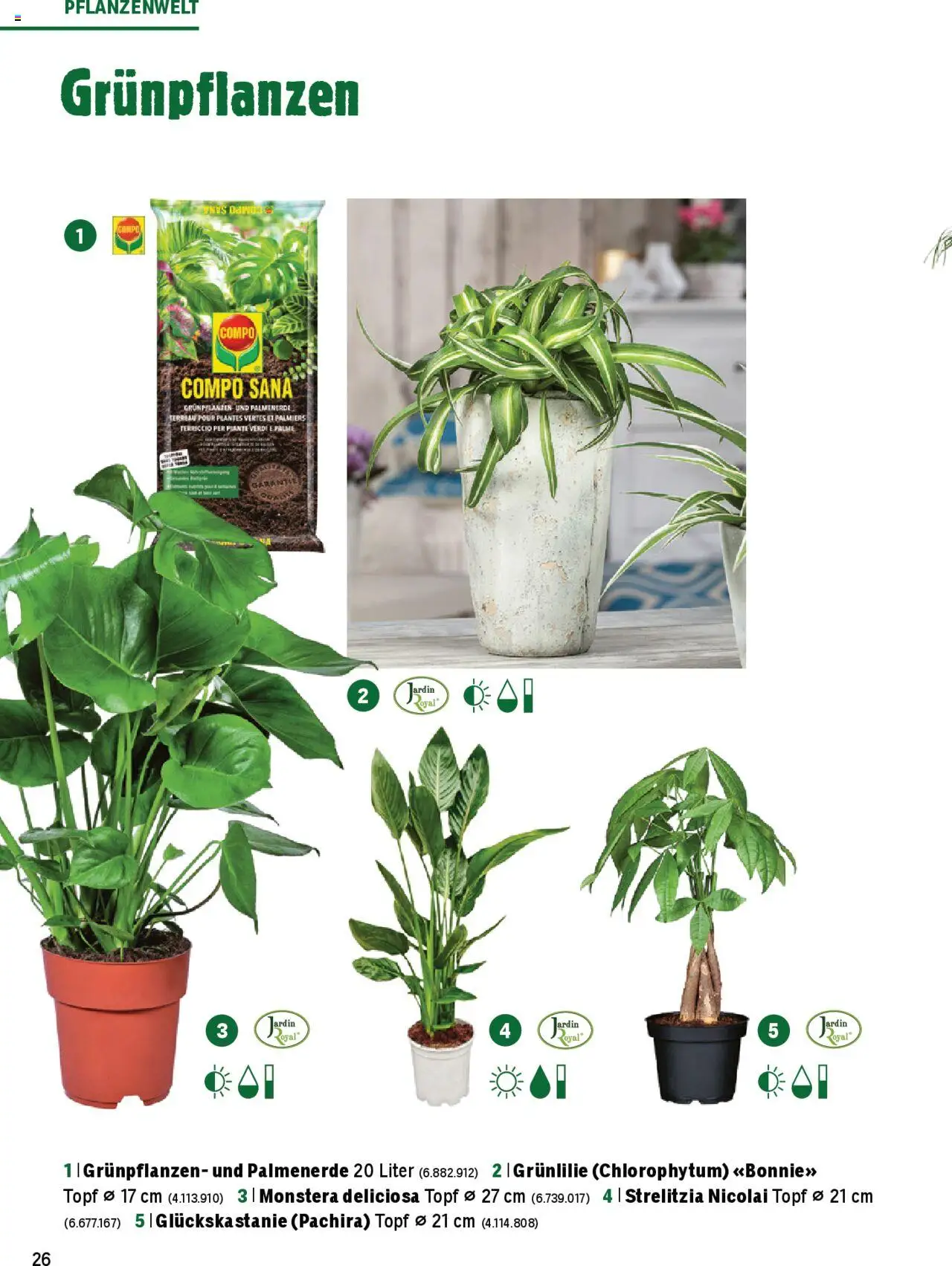 Jumbo Aktionen Dein Garten 2025 ab 21.02.2025 | Seite: 26