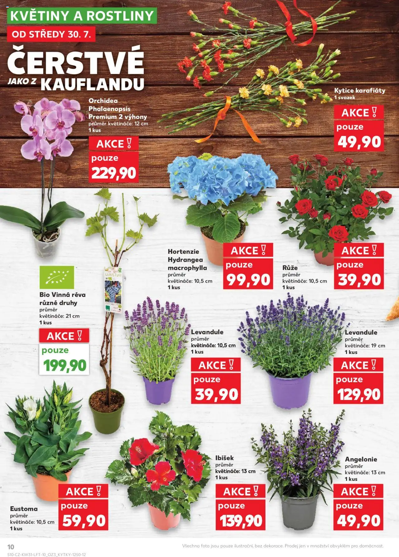 Kaufland leták - Plzeň Bory od 30.07.2025 | Strana: 10 | Produkty: Květináče, Rostliny, Kytice, Květiny
