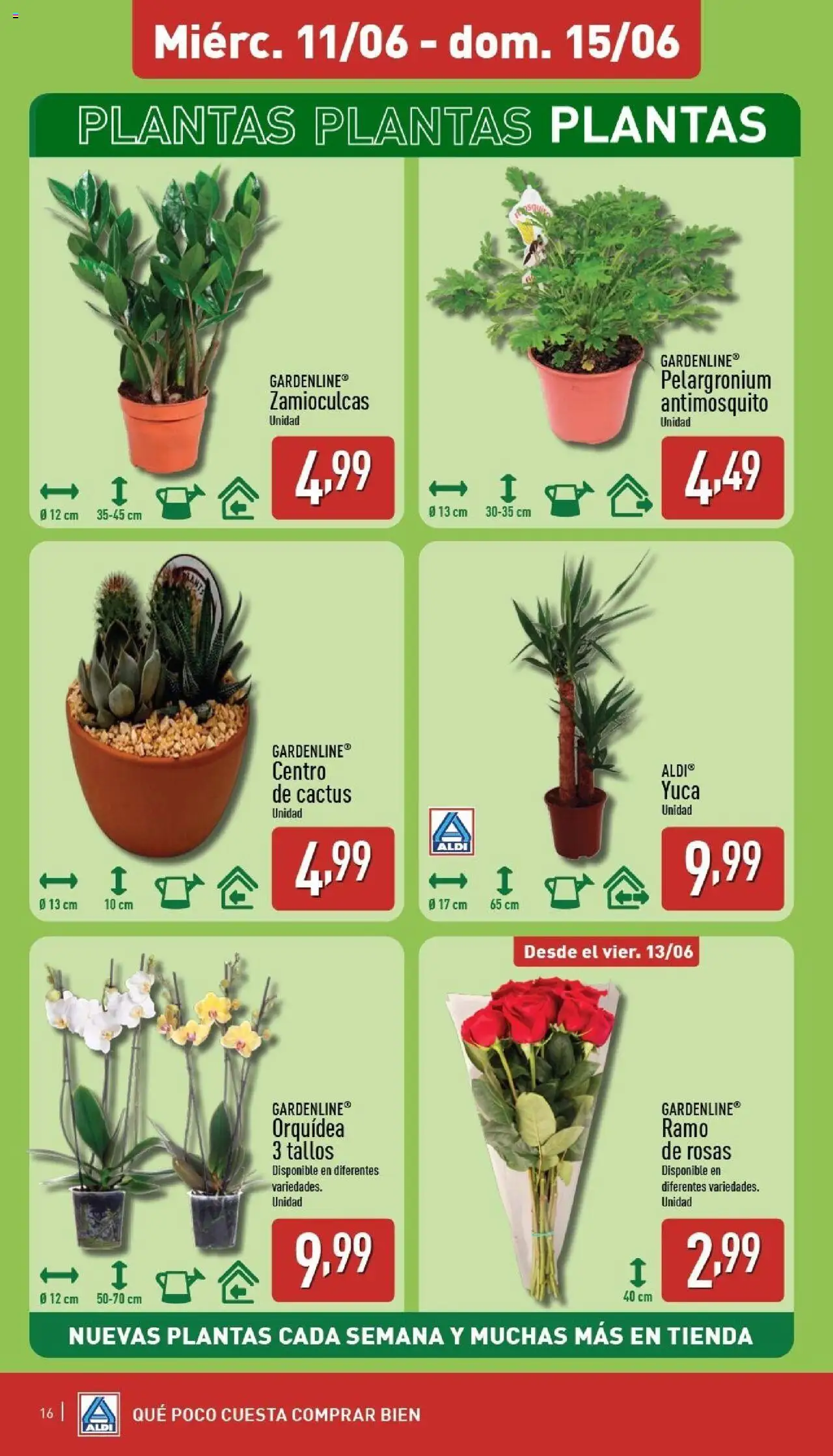 Aldi folleto Península │ válido desde el 09.06.2025 | Página: 16
