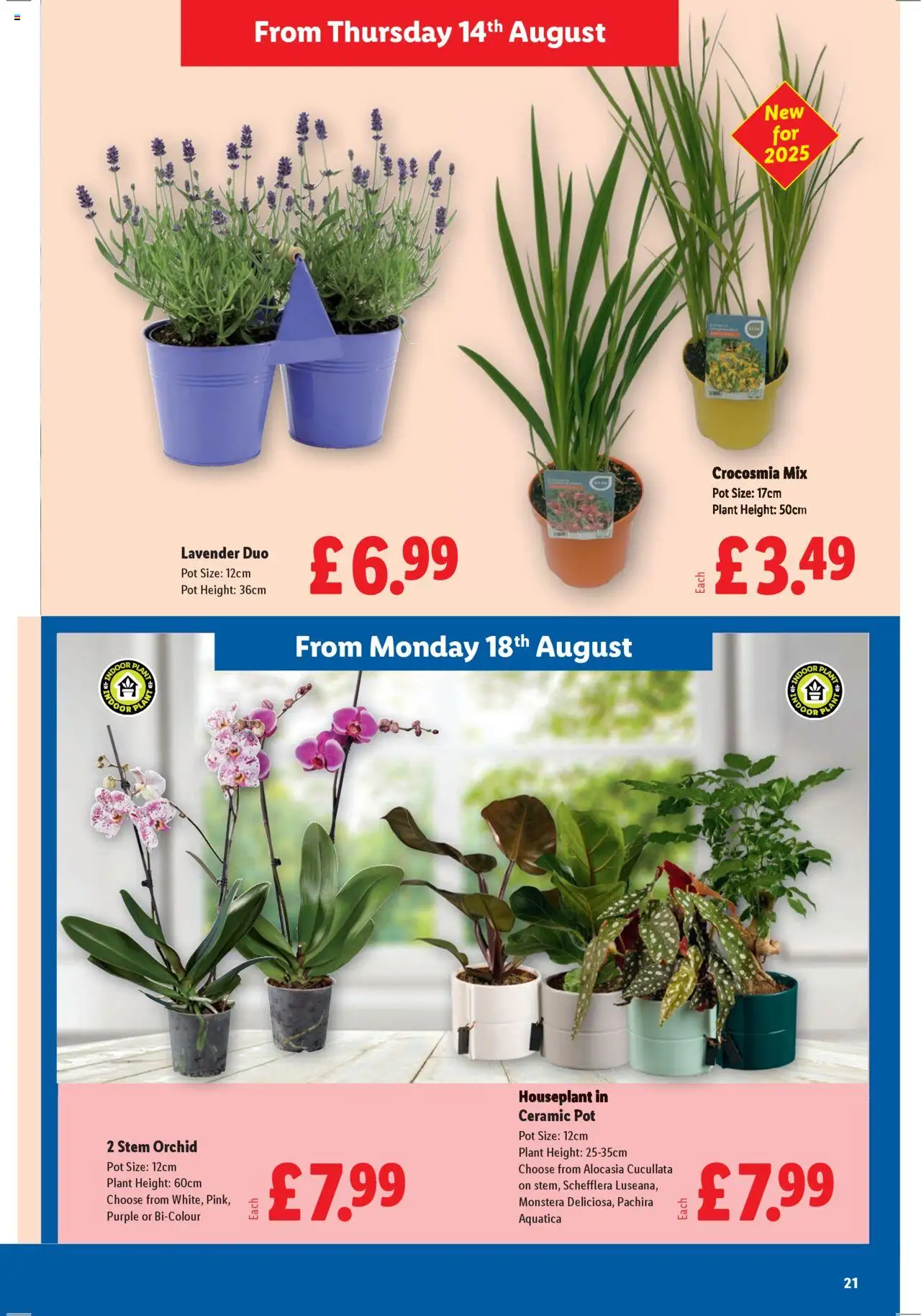  | Page: 21 | Products: Pot, Door, Lavender, Ceramic pot