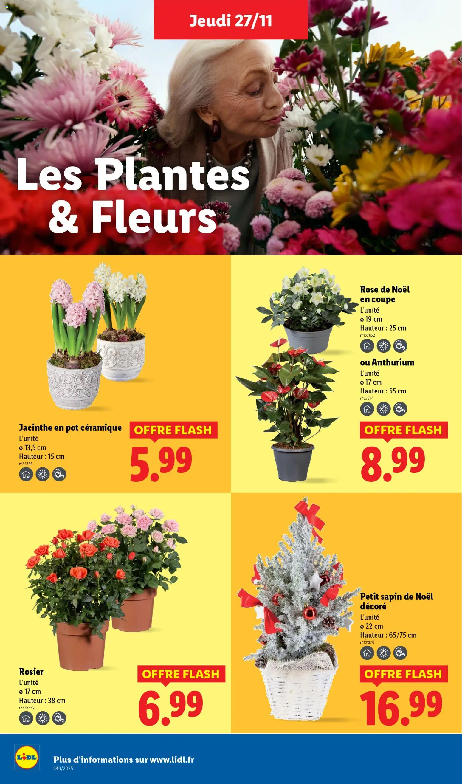 {H1} | Page: 38 | Produits: Rosier, Sapin de Noël, Plantes