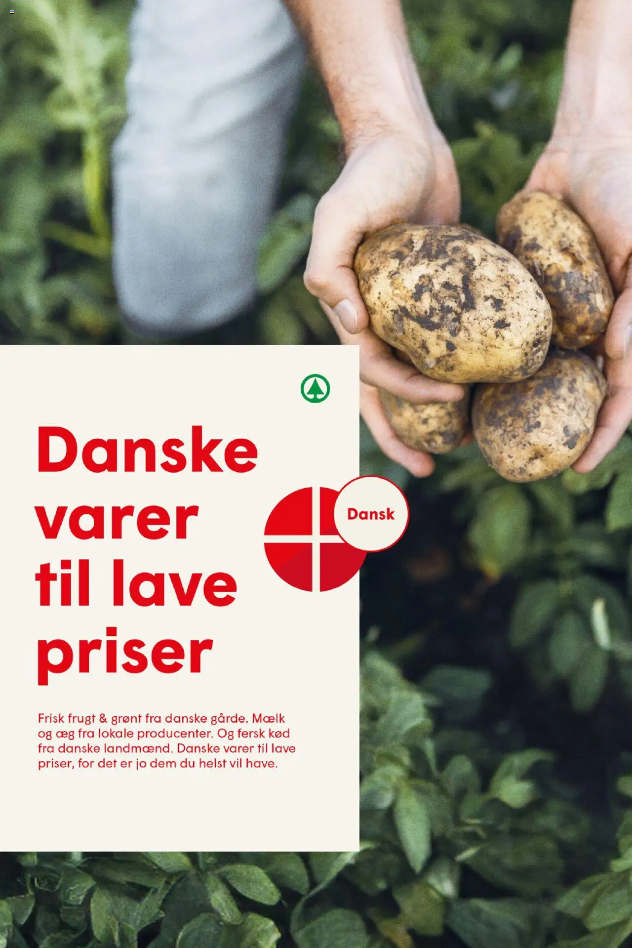Spar Tilbudsavis gyldig fra 08.08.2025 | Side: 21 | Produkter: Mælk, Æg