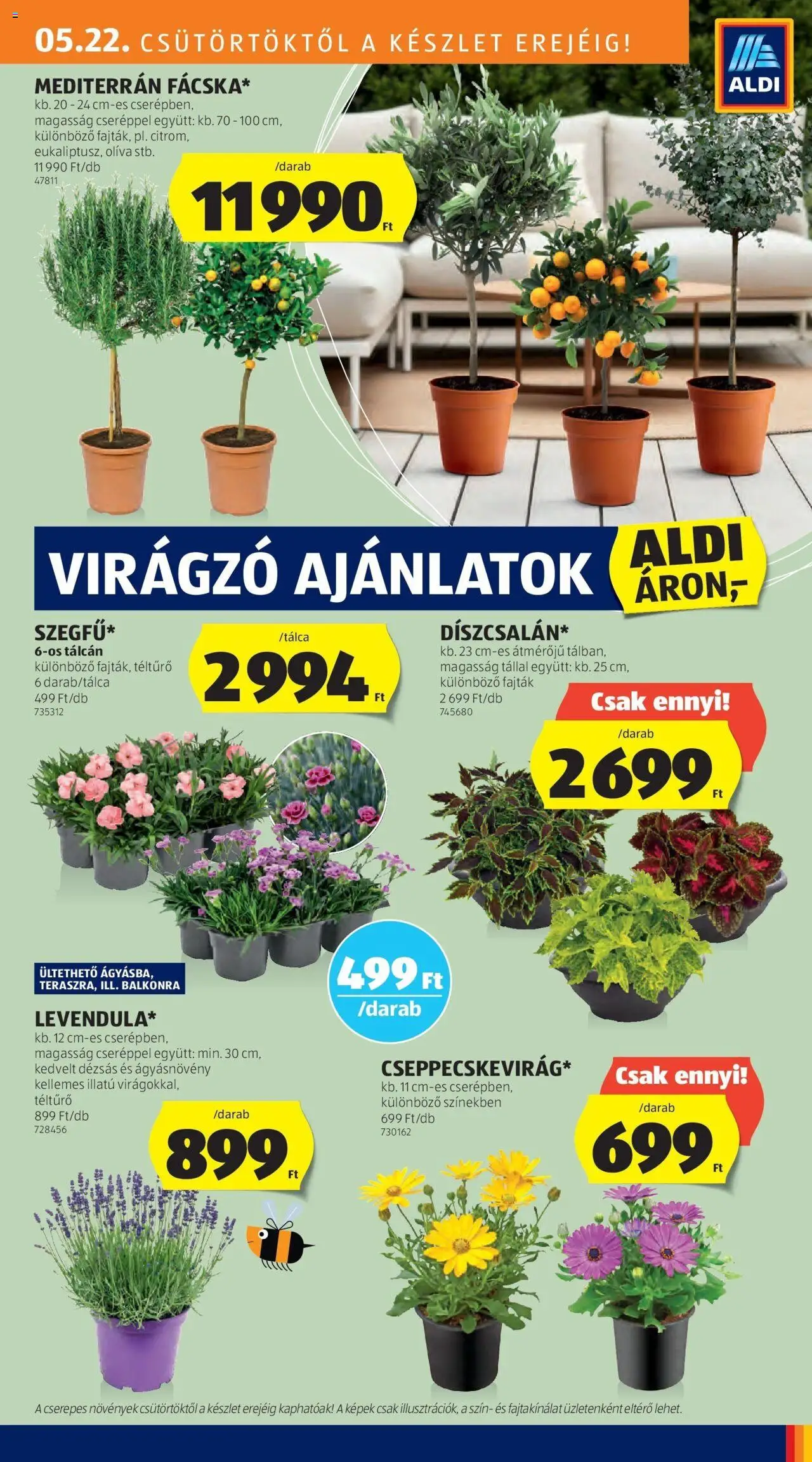 Aldi akciós ujság - amely érvényes a következő dátumtól: 29.05.2025 | Oldal: 31