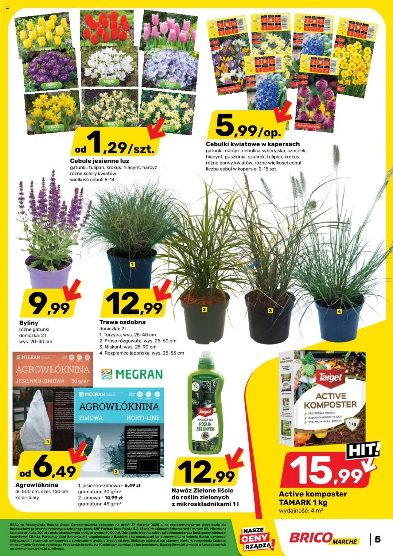 Brico Marché Gazetka od 27.08.2025 | Strona: 7 | Produkty: Doniczka, Cebule