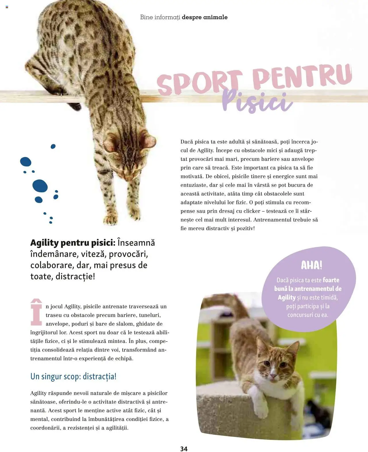 Catalog Fressnapf - Vară – valabil de la 05.05.2025 | Pagină: 34 | Produse: Mici