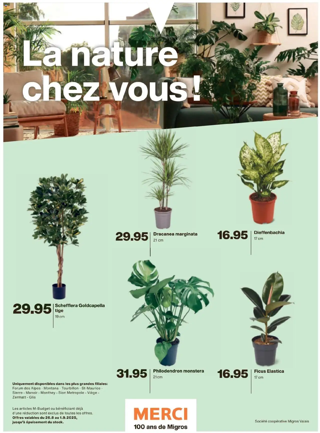 Migros - Magazin FR ab 25.08.2025 | Seite: 33