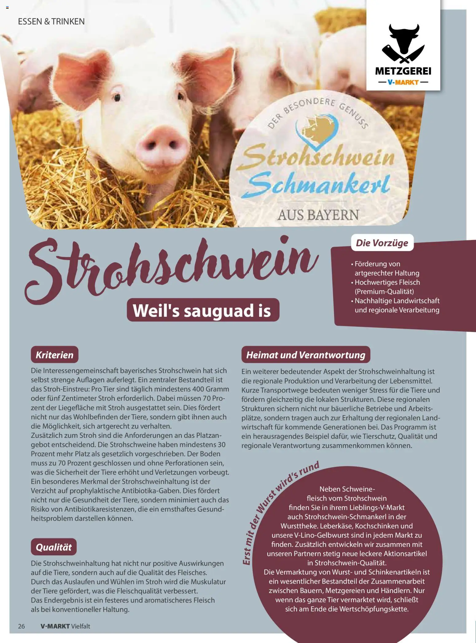 V-Markt - Vielfalt Januar / Februar – gültig ab 02.01.2026 | Seite: 26 | Produkte: Wurst, Fleisch