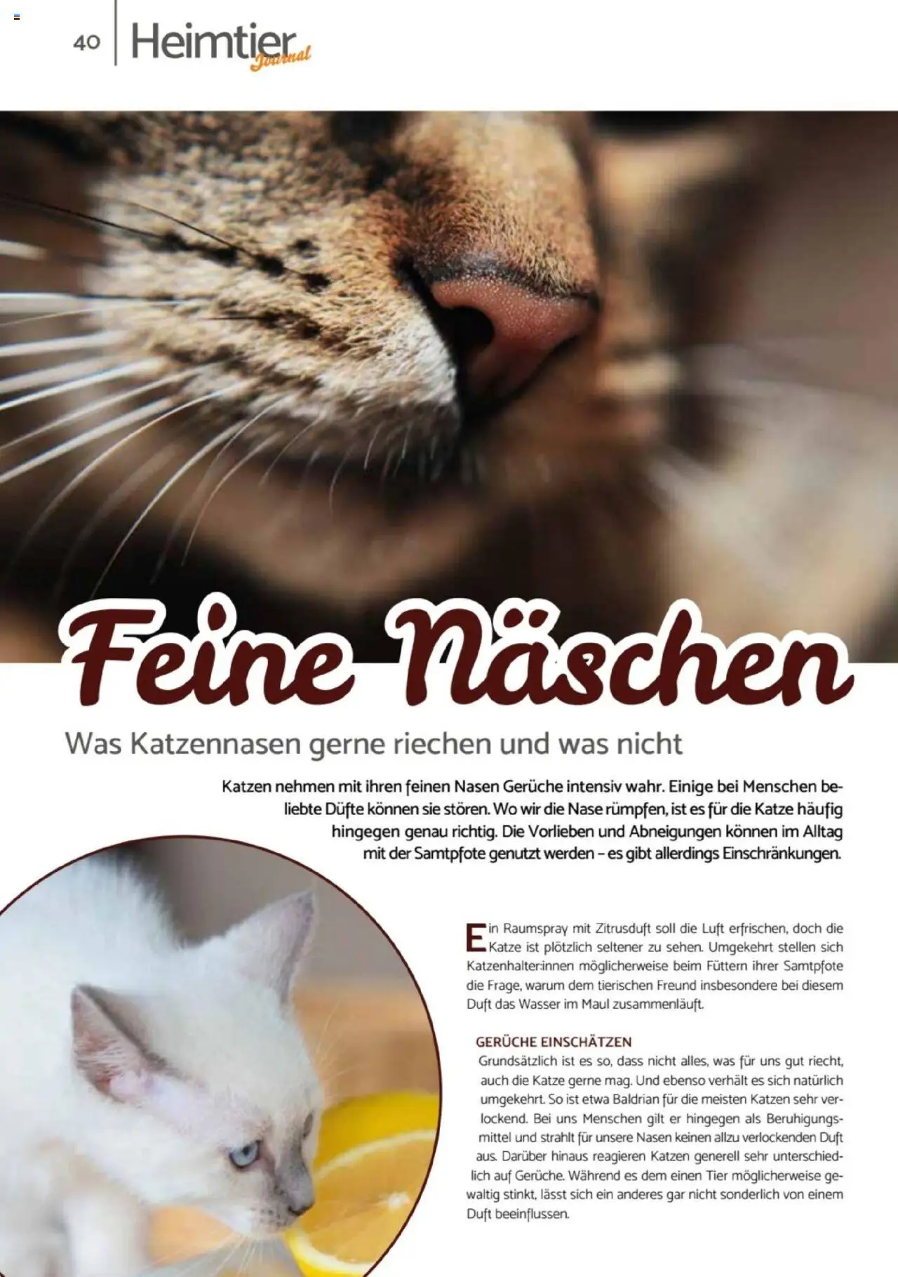 zookauf  Heimtier Journal - gültig ab dem 21.07.2025 | Seite: 40 | Produkte: Duft, Wasser