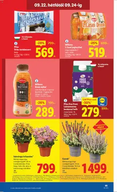 Lidl akciós ujság - amely érvényes a következő dátumtól: 18.09.2025 | Oldal: 65