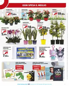 Anteprima del volantino Volantino Ipercoop	 valido a partire dal 12.02.2026 | Pagina: 29 | Prodotti: Peluche, Agrumi, Data, Orchidea