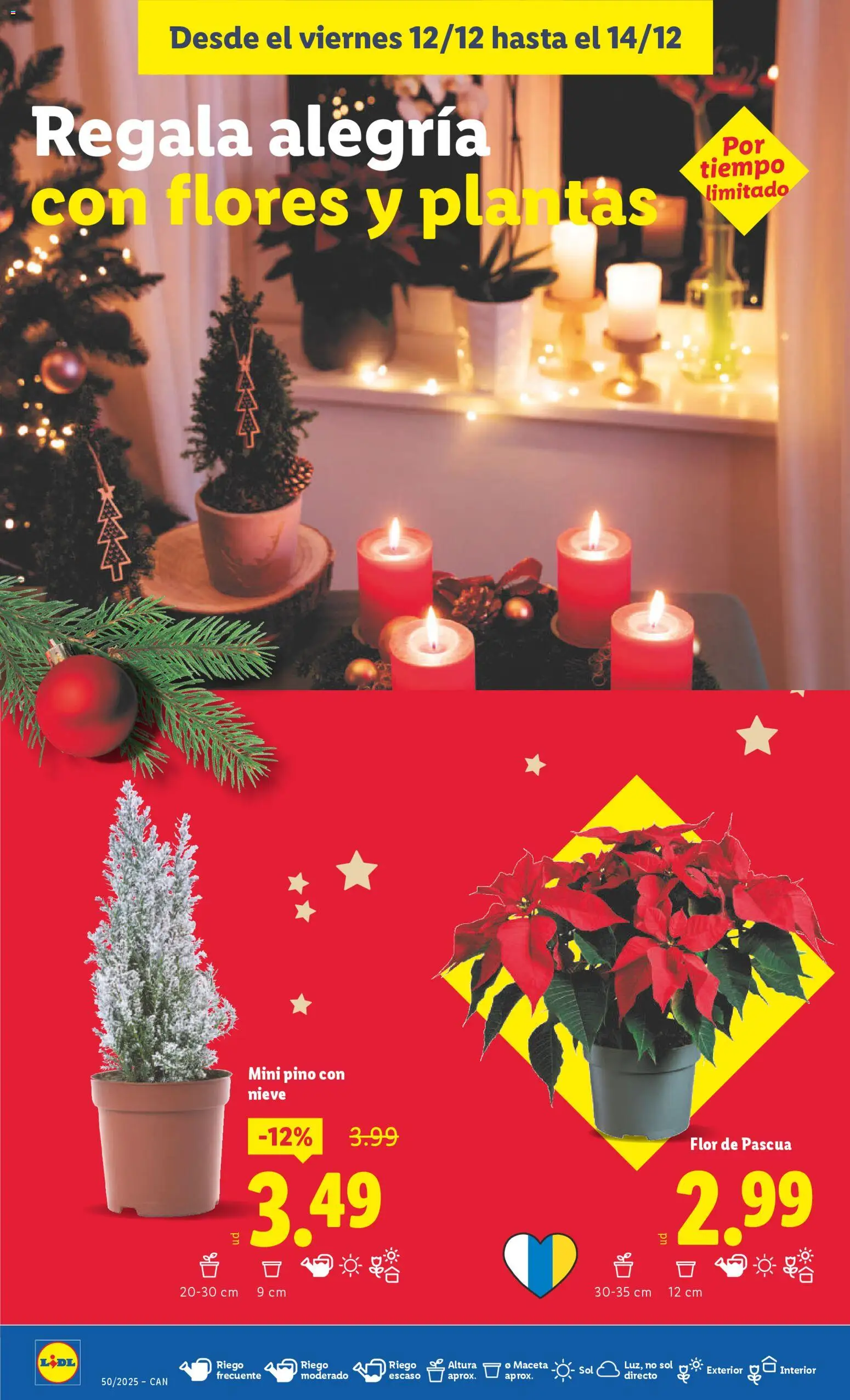 Lidl - Canarias │ válido desde el 08.12.2025 | Página: 44 | Productos: Maceta