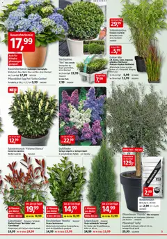 Bauhaus Prospekt 	 ab 28.03.2026 gültig | Seite: 5 | Produkte: Rindenmulch