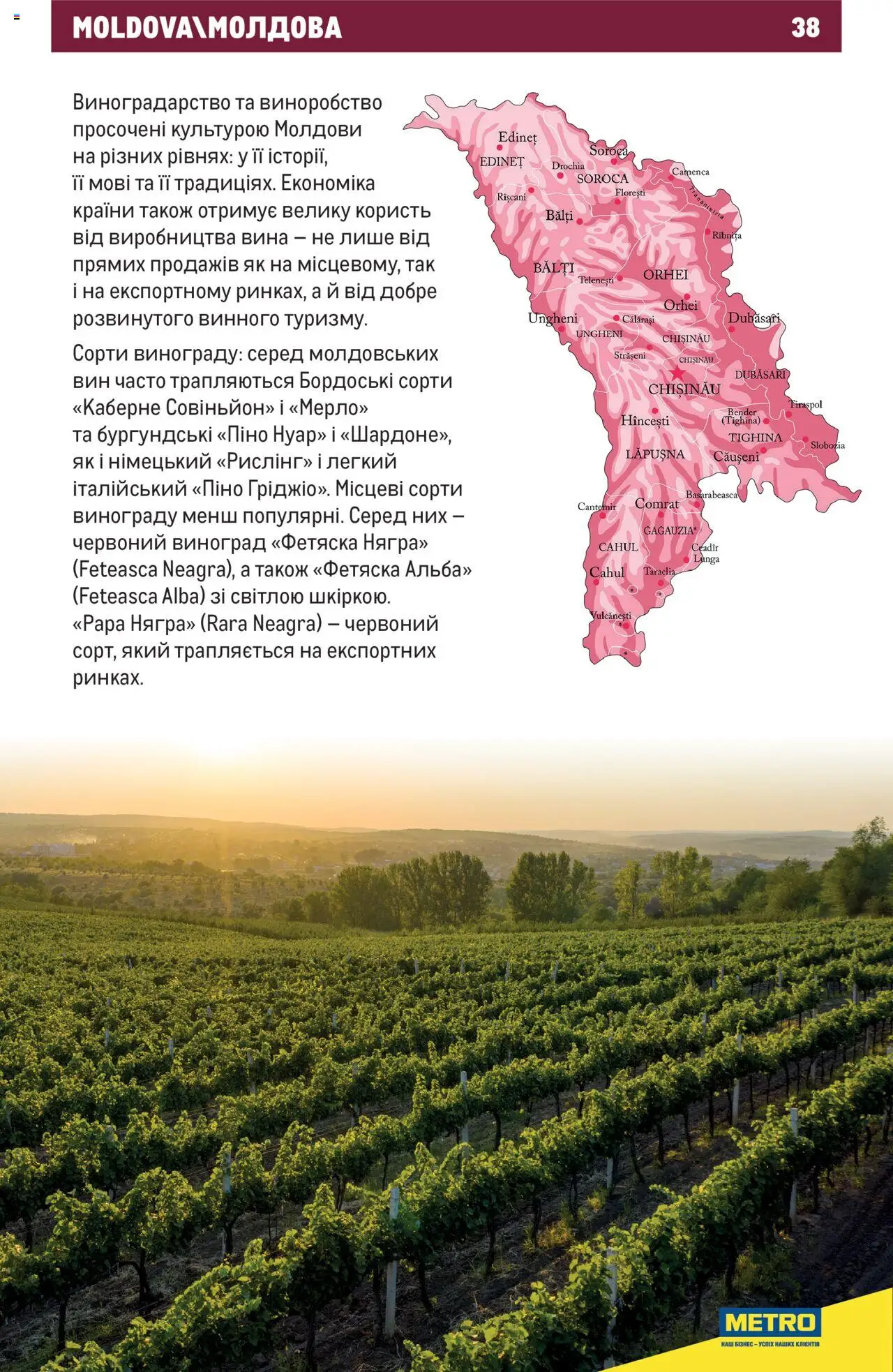 Metro Kаталог - дійснийкції з 03.07.2023 | Сторінка: 38 | Товари: Виноград