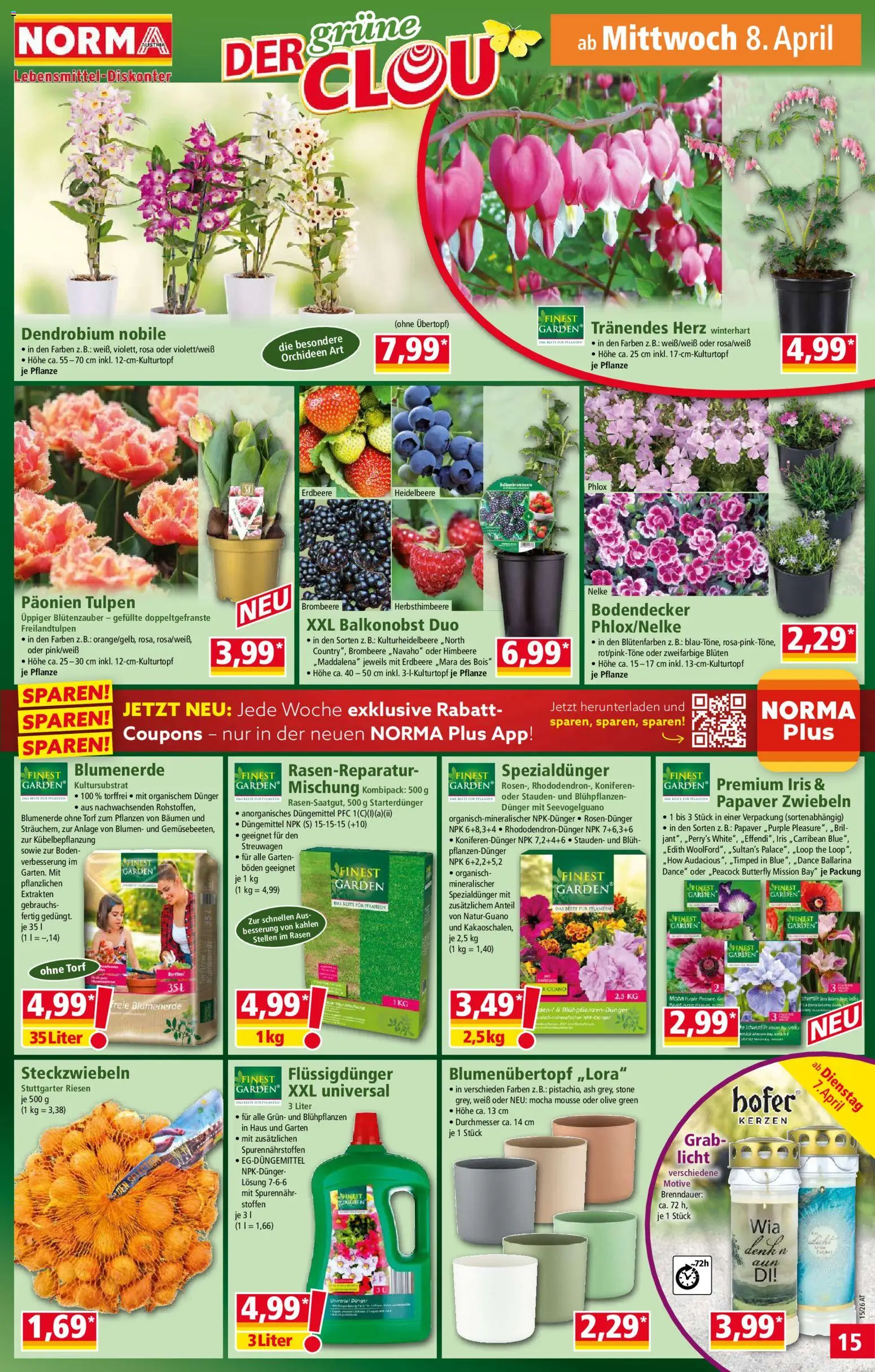 Norma Flugblatt gültig ab 07.04.2026 | Seite: 15 | Produkte: Zwiebeln, Himbeere