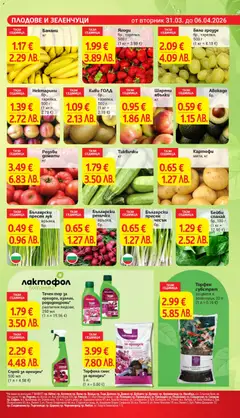 Преглед на Български пресен чесън, Български пресен чесън, бр. - Офертите са валидни от 31.03.2026 | Страница: 9