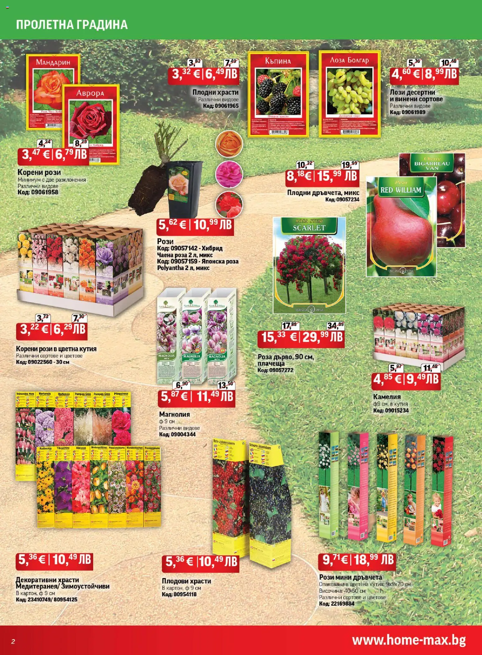 {H1} | Страница: 2 | Продукти: Кутия, Роза