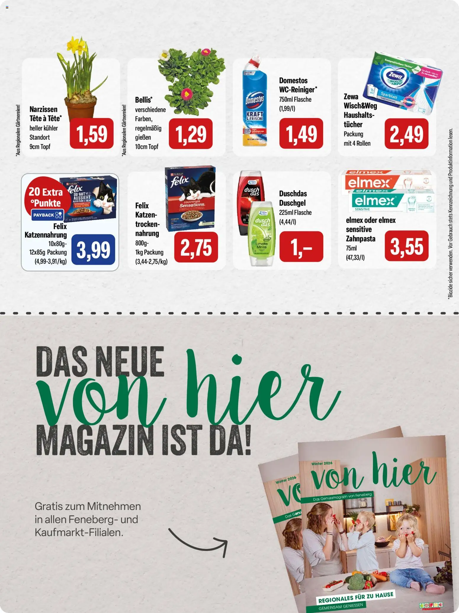 Feneberg Angebote – gültig ab 05.03.2026 | Seite: 15 | Produkte: Zewa, Duschgel, Zahnpasta, Limette