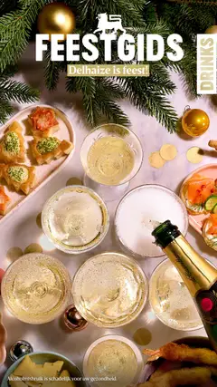Delhaize Feestgids - Drinks - Voorbeeld van een folder van Delhaize, geldig van 13.11.2025