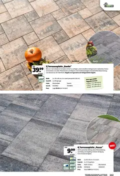 Hagebau Gartenjahr ab 13.03.2026 gültig | Seite: 263