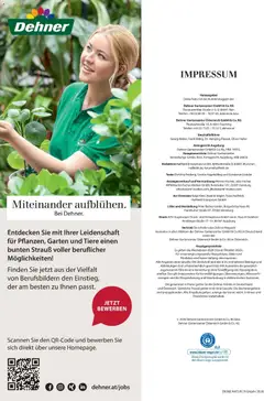 Dehner Flugblatt ab 05.03.2026 gültig | Seite: 98