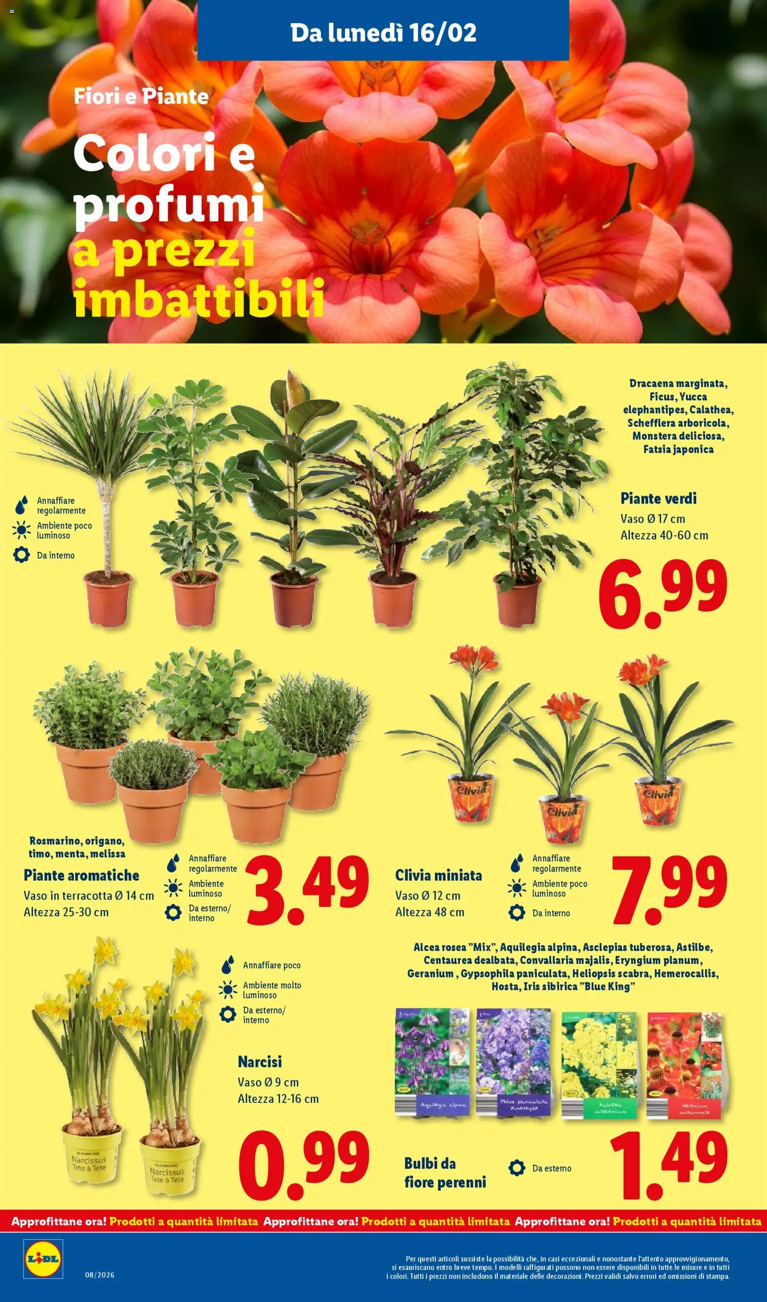 Volantino Lidl del 16.02.2026 | Pagina: 46 | Prodotti: Vaso