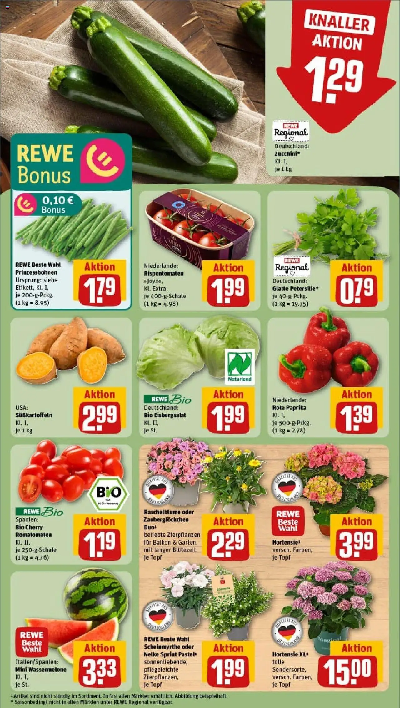 Rewe prospekt Mönchengladbach	 - gültig ab dem 22.06.2025 | Seite: 7 | Produkte: Hortensie, Paprika, Wassermelone, Petersilie