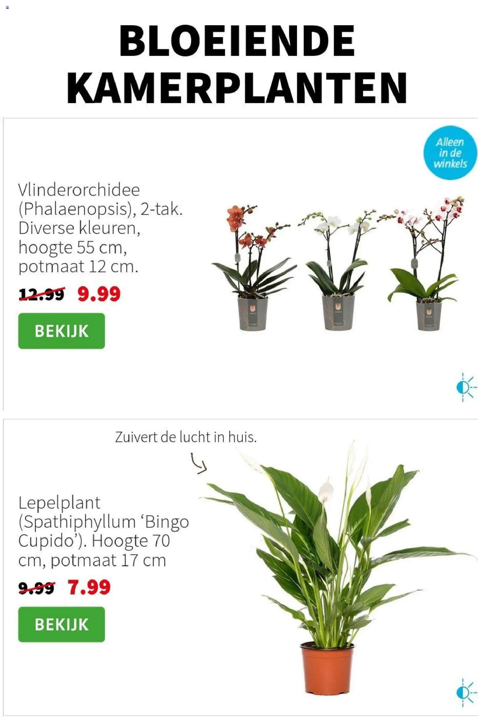 {H1} | Pagina: 3 | Producten: Kamerplanten