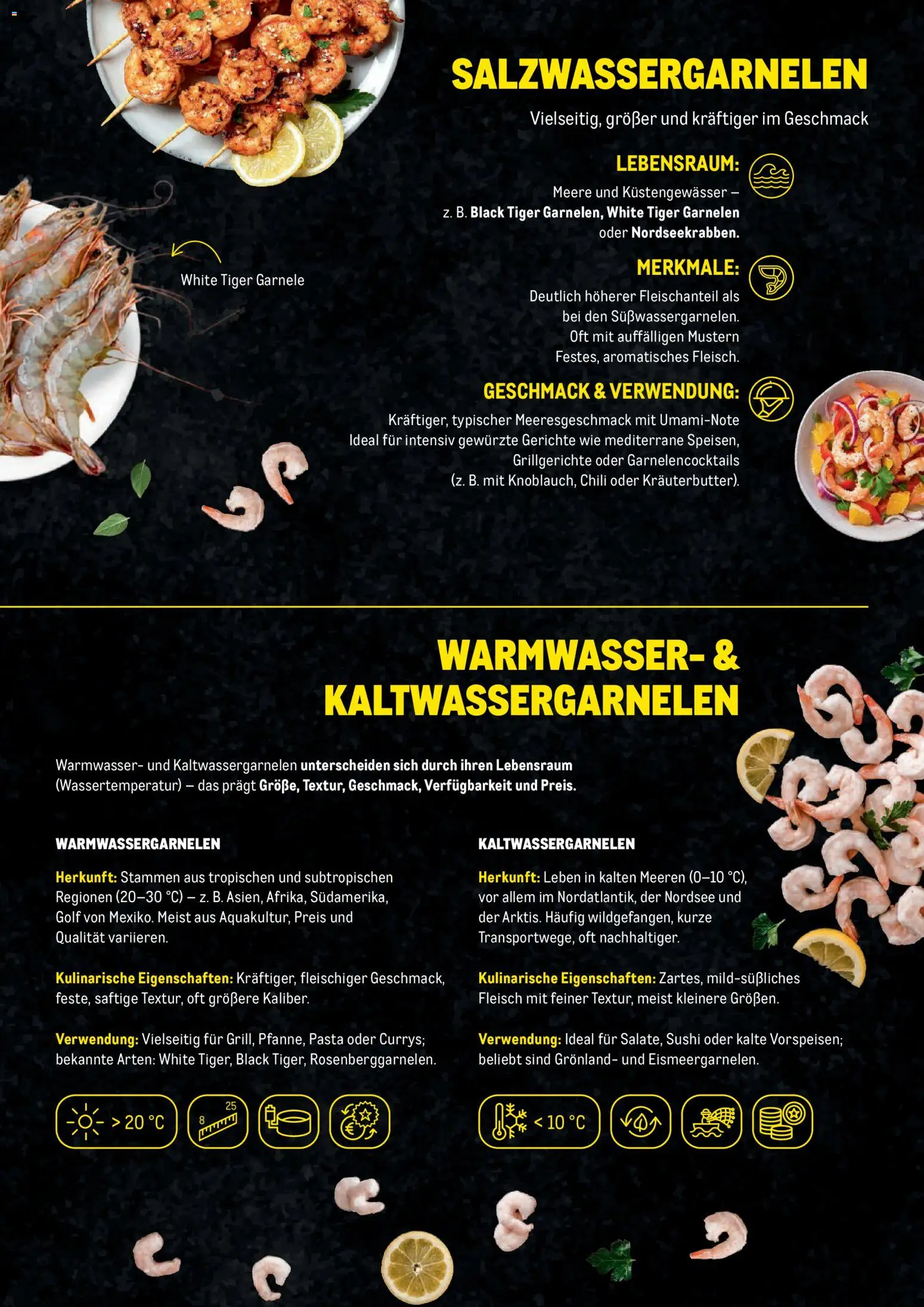 Metro Garnelen Folder gültig ab 27.11.2025 | Seite: 5 | Produkte: Pasta, Chili