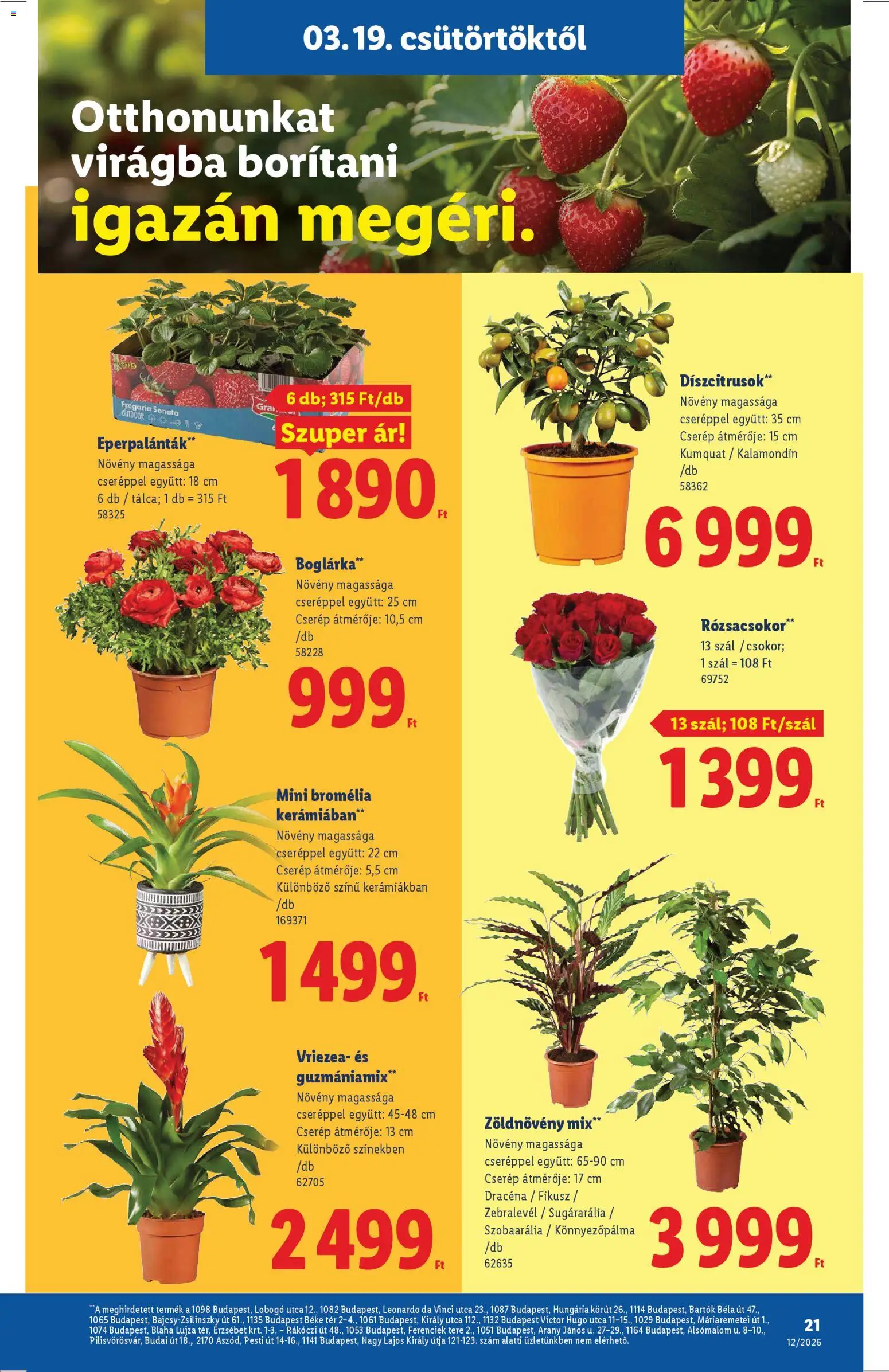 Lidl Akciós Újság 2026.03.19.-tól/töl - fantasztikus ajánlatokat! 🛍️ | Magyarország