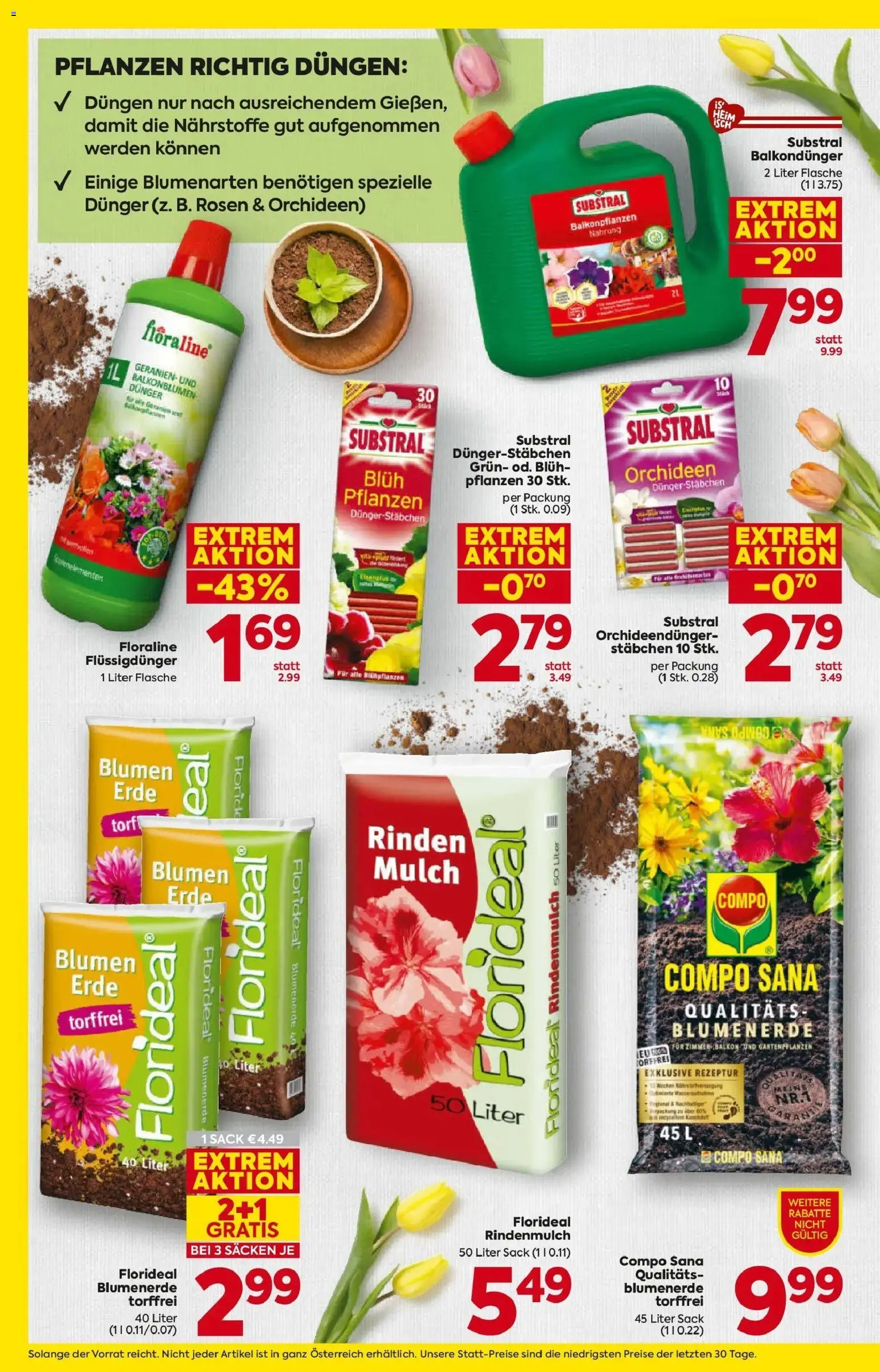 Billa Blumen gültig ab 09.04.2026 | Seite: 4