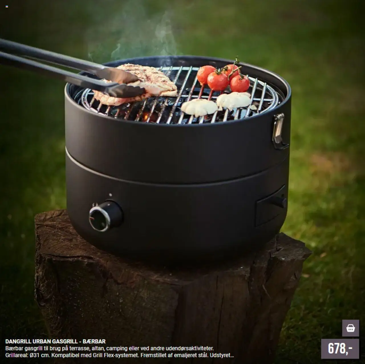 Harald Nyborg tilbudsavis – gyldig fra 01.01.2026 | Side: 4 | Produkter: Grill