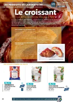 METRO - Prévisualisation de METRO - Boulanger Pâtissiers valide à partir de 08.02.2026 | Page: 48 | Produits: Fraise, Framboise, Fraises, Livre