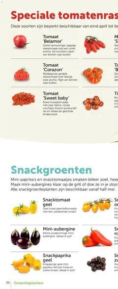 Aveve Groente- en kruidengids - Voorbeeld van een folder van Aveve, geldig van 23.02.2026 | Pagina: 58 | Producten: Grill, Tomaat, Pot
